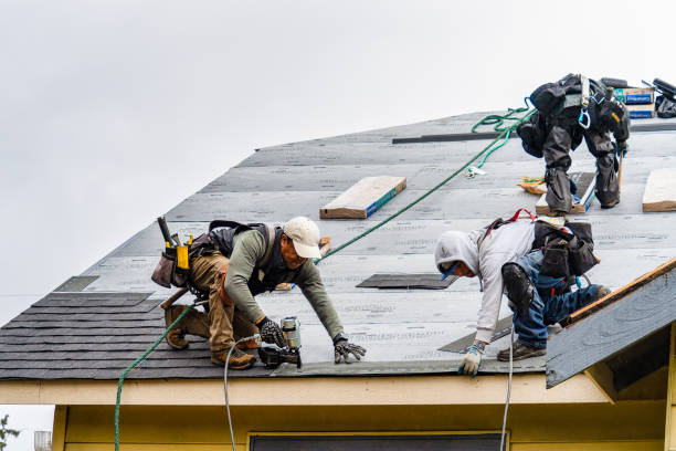 Professional Flat Roof Repair technician working in Hayward, MN